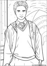 Harry potter desenho realista