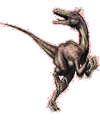 Dinossauro para colorir