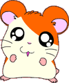 Hamtaro para colorir